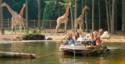 Op weg in de Grote Wildernis