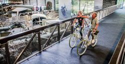 DW Awards: uitmuntende uitjes uit Noord-Brabant