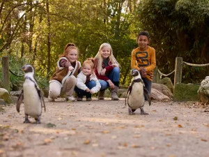 Avontuurlijk dagje uit in AquaZoo Friesland