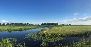 Over de foto: Lopen door de mooie Demmerikse polder. Op het Bellopad geniet je van weidse uitzichten over groen en water, maar slenter je ook langs een riviertje. Foto: Bellopad.nl Lopen door de mooie Demmerikse polder. Op het Bellopad geniet je van weidse uitzichten over groen en water, maar slenter je ook langs een riviertje. Foto: Bellopad.nl