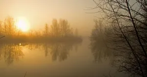 Varen op het Naardermeer voor dag en dauw Varen op het Naardermeer voor dag en dauw | Foto geüpload door gebruiker Natuurmonumenten.