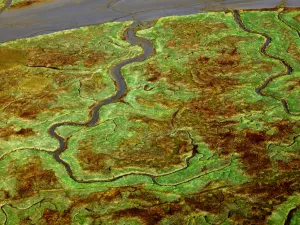 Verdronken Land van Saeftinghe Foto: Provincie Zeeland © Sky Pictures