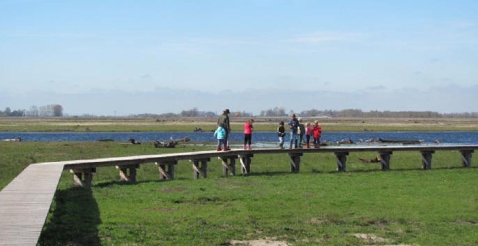 Ontdek het nieuwe uitgebreide natuurgebied 't Roegwold! Foto: Staatsbosbeheer