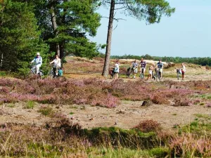 Foto: Recreatief Loon op Zand.