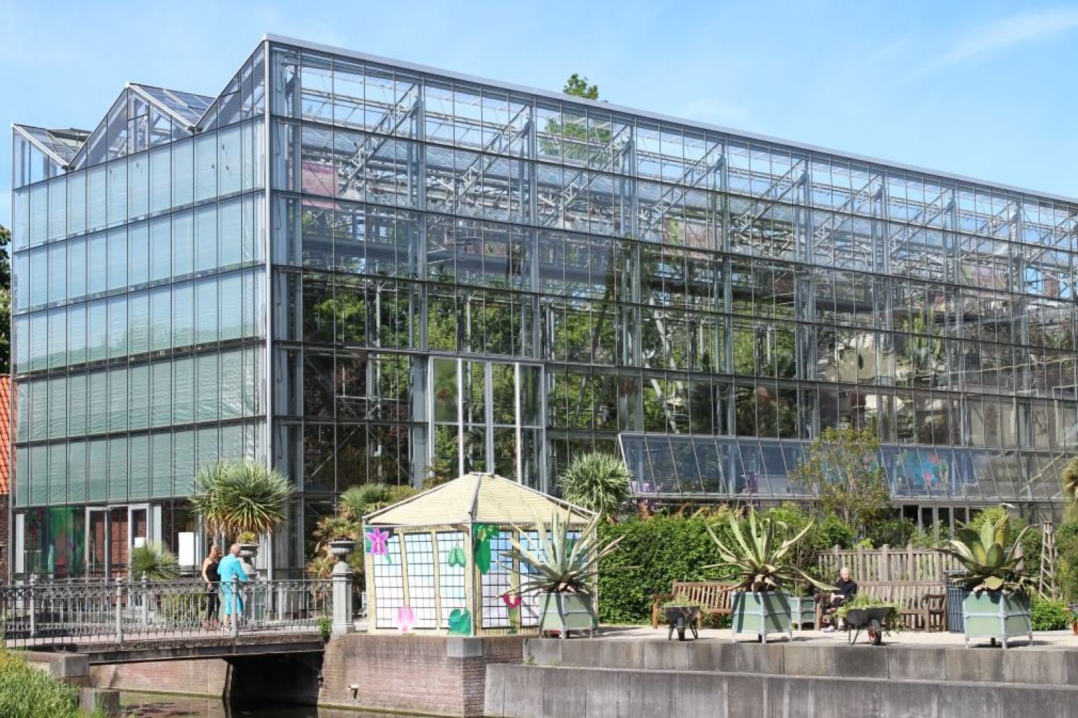 In het tropisch kassencomplex beheert Hortus al sinds de zeventiende eeuw collecties tropische planten. Foto: Redactie DagjeWeg.NL
