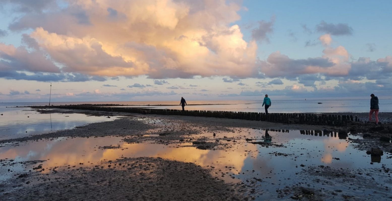 Ontdek hoe mooi en uniek UNESCO Werelderfgoed de Waddenzee is. Foto: Nikki Arendse