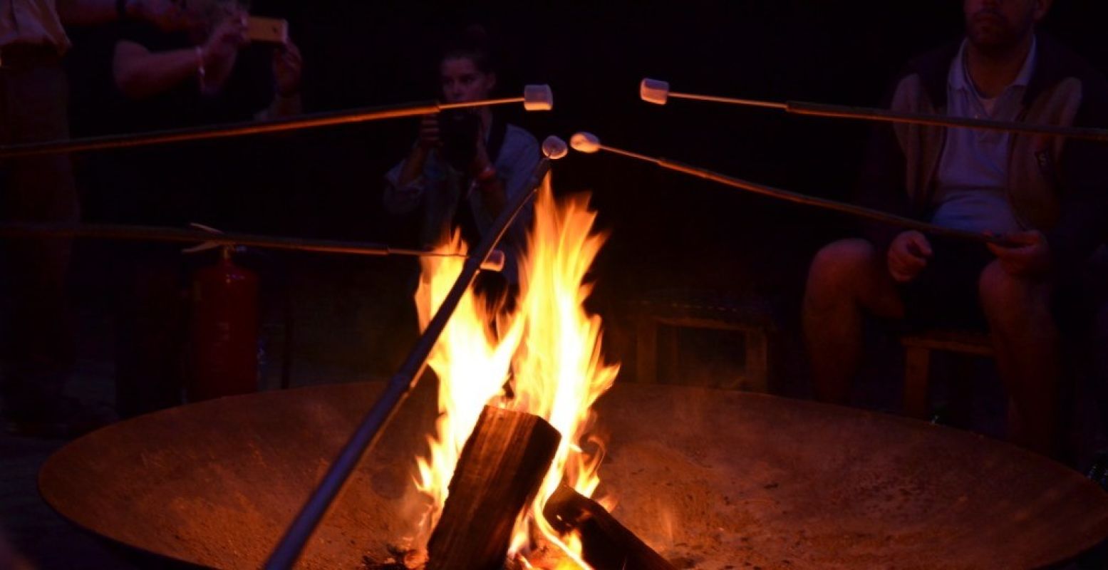 Smelt marshmallows boven een gezellig vuurtje. Foto: Safaripark Beekse Bergen