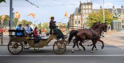 Ga als koning in Gouden Koets langs Haagse hotspots