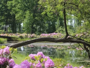 Foto: Kasteel Cannenburch