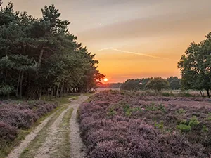 Foto: Natuurmonumenten