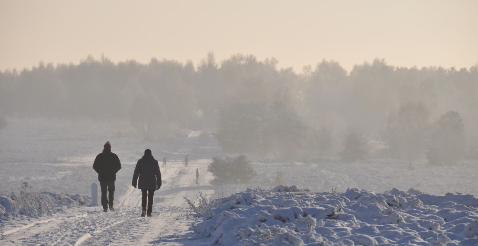 De Nederlandse natuur is prachtig in de winter. Foto: Staatsbosbeheer