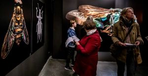 Microsculpture is prachtig!