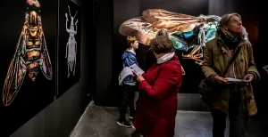 Wauw! Zo zag je insecten nog nooit Bezoekers worden even stil. Foto: Focuss22 – Jean Pierre Geussens