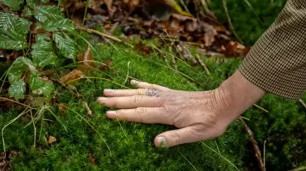 Bosbaden in het dfw | Foto ge&uuml;pload door gebruiker Staatsbosbeheer.