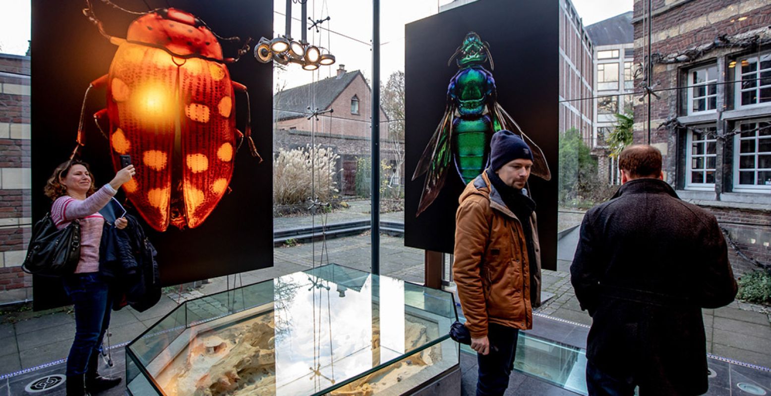 Er is naast de mooie foto's veel meer te zien over de natuur in Natuurhistorisch Museum Maastricht. Foto: Focuss22 â€“ Jean Pierre Geussens