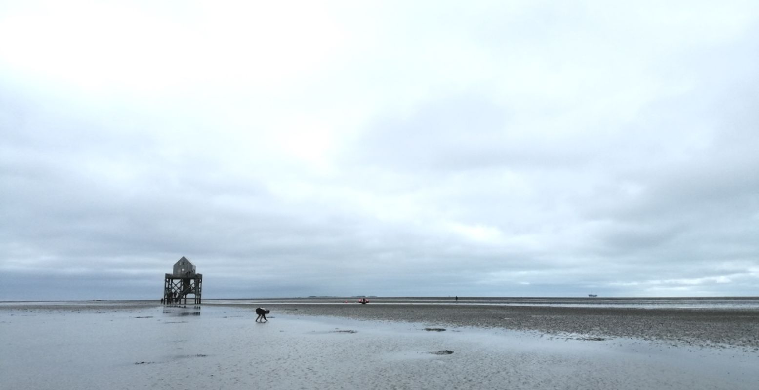 Voel je even alleen op de wereld op de Engelsmanplaat bij Schiermonnikoog. Foto: DagjeWeg.NL