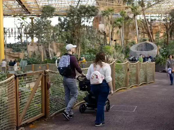 Wandel in Edenya langs kronkelende rivieren en een waterval. Foto: Pairi Daiza