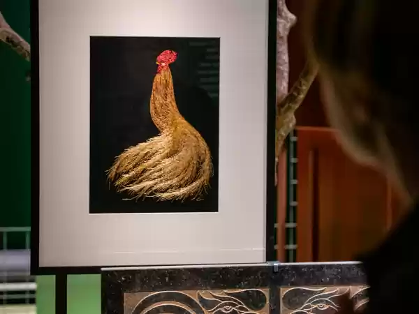 Beauty of the Beast - Dieren in de art nouveau Foto: Drents Museum De Buitenplaats © Bob de Vries