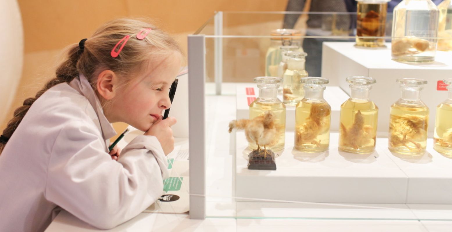 Kinderen gaan op onderzoek uit en leren spelenderwijs meer over de natuur. Foto: Fred Ernst / Museum Natura Docet