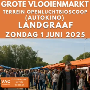 Grote vlooienmarkt Openlucht Bioscoop Landgraaf Organisatie Bureau VAC Foto: D. Claassen