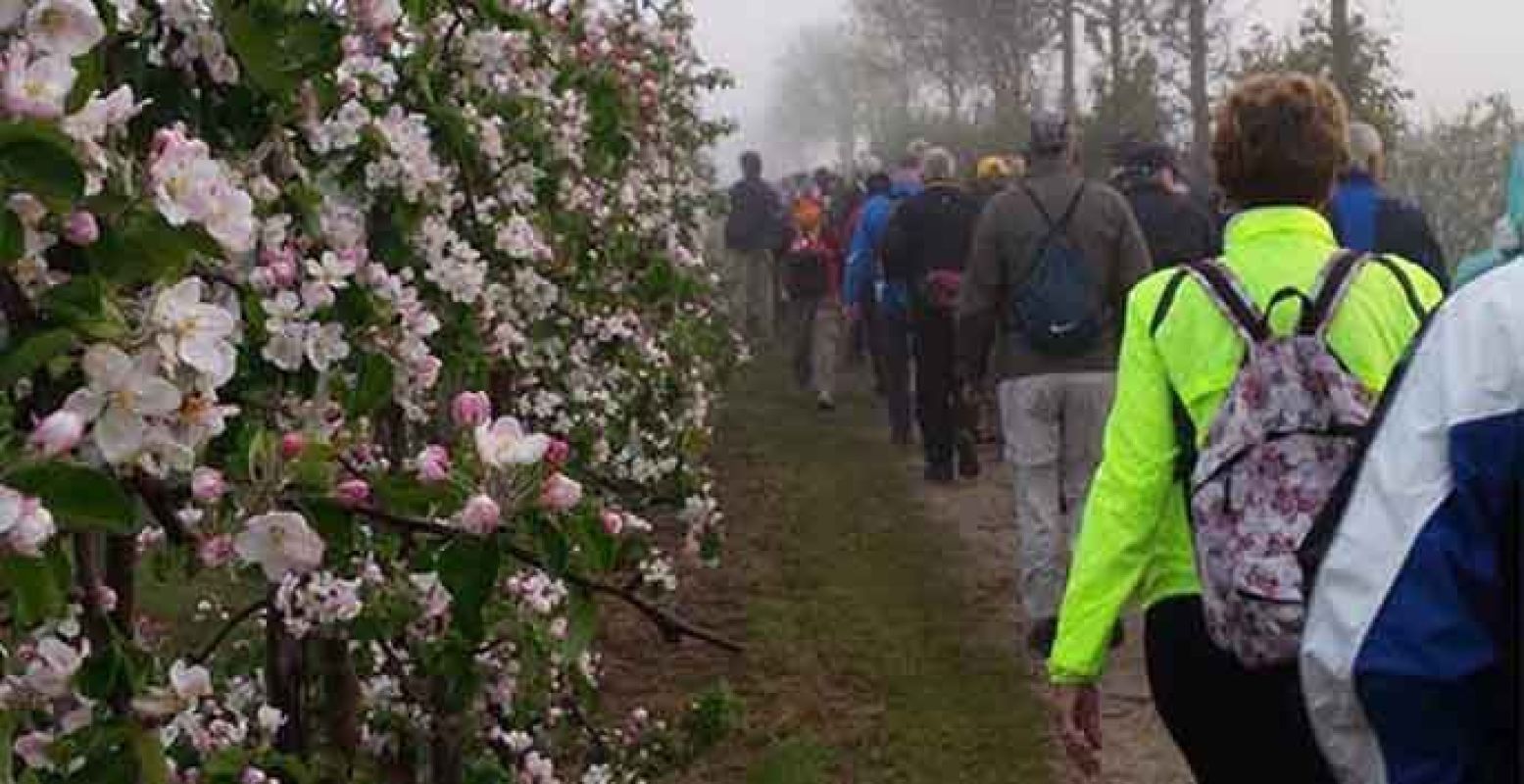 De paden op, de lanen in...! Foto: Rode Kruis Bloesemtocht