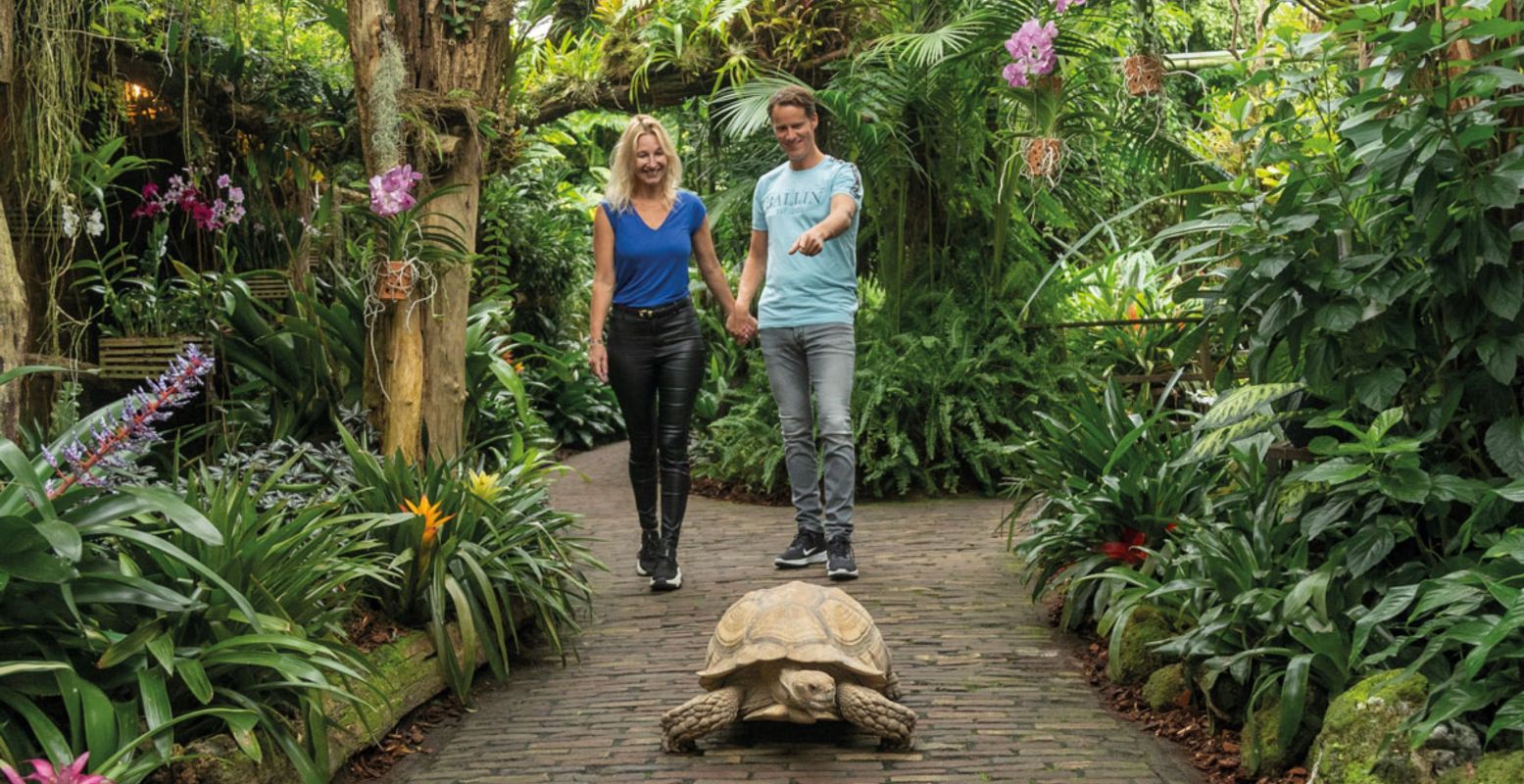 Het prachtige junglepark Pantropica was in 2024 de onbetwiste nummer 1 op DagjeWeg.NL. Foto: Pantropica Het prachtige junglepark Pantropica was in 2024 de onbetwiste nummer 1 op DagjeWeg.NL. Foto: Pantropica