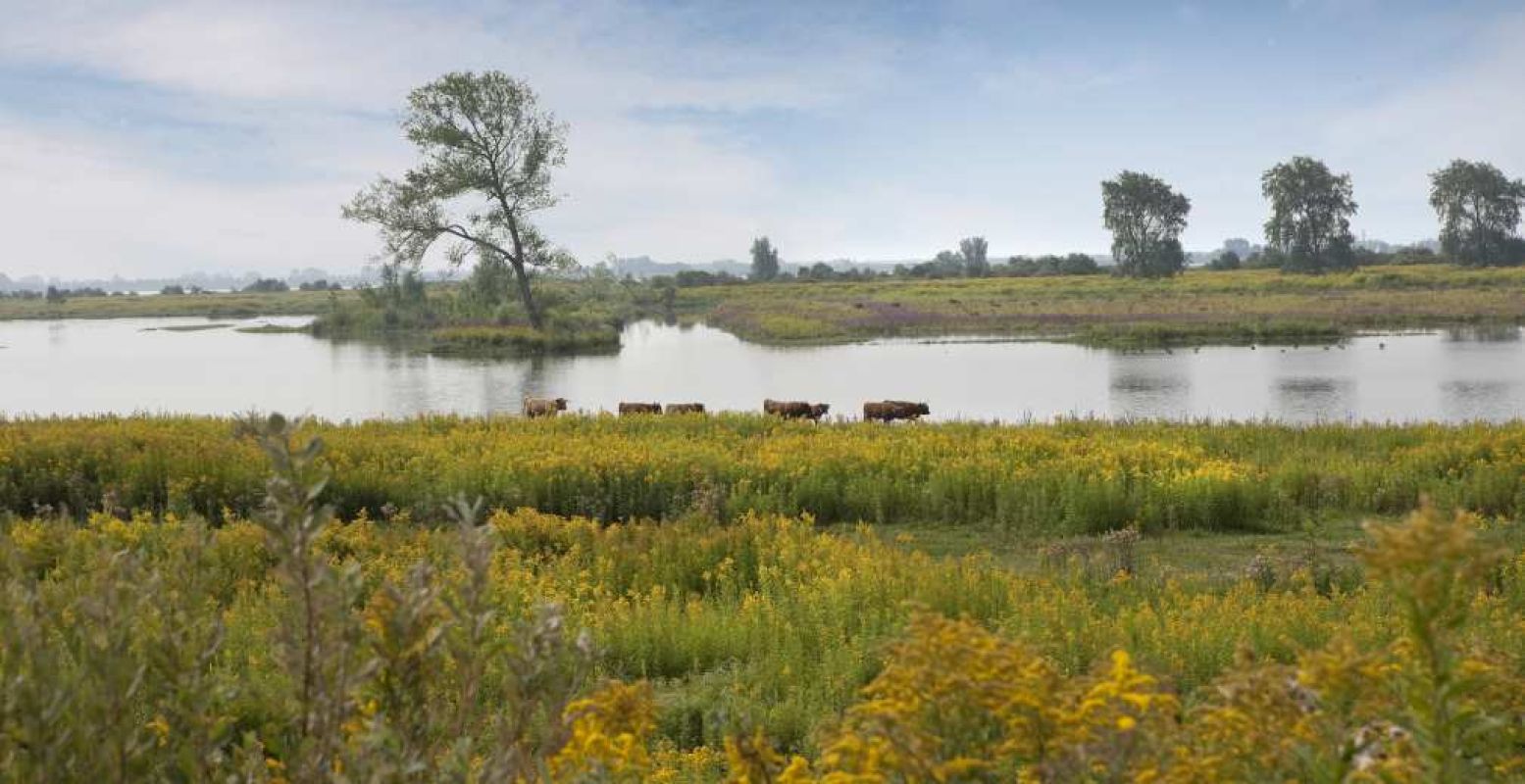 Ontdek de natuur en rust op Tiengemeten. Foto: Natuurmonumenten © Pauline Joosten