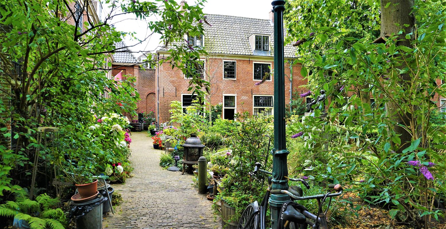 Het Proveniershofje bereik je door een poort aan de zuidkant van de Grote Houtstraat. Foto: DagjeWeg.NL © Tonny van Oosten