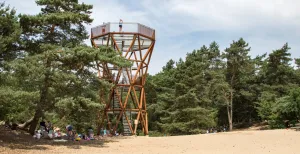 De mooiste zandverstuivingen in Nederland Kijk uit over het Kootwijkerzand vanaf uitkijktoren de Zandloper. Foto: Staatsbosbeheer / Marco van de Burgwal