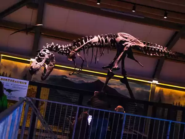 Bekijk de enorme skeletten in het Dino-Museum. Foto: Dinopark Landgoed Tenaxx