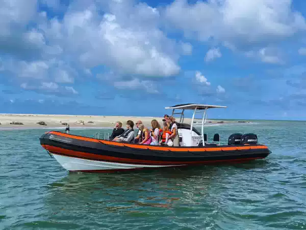 I Like Terschelling Zeehondentocht Met de RIB kom je héél dichtbij deze fantastische dieren. Foto: I Like Terschelling