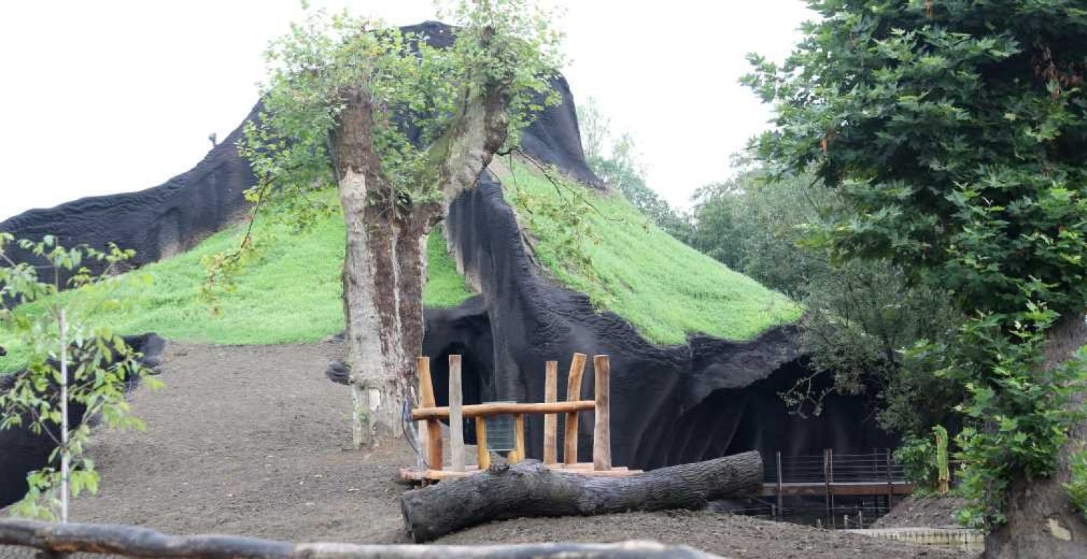 Het gorillaverblijf telt drie eilanden en twee vulkanen. Foto: Pairi Daiza/Christelle Bonté/Joëlle Willemart