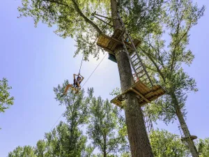 Fun Forest Almere Foto: Klimpark Fun Forest