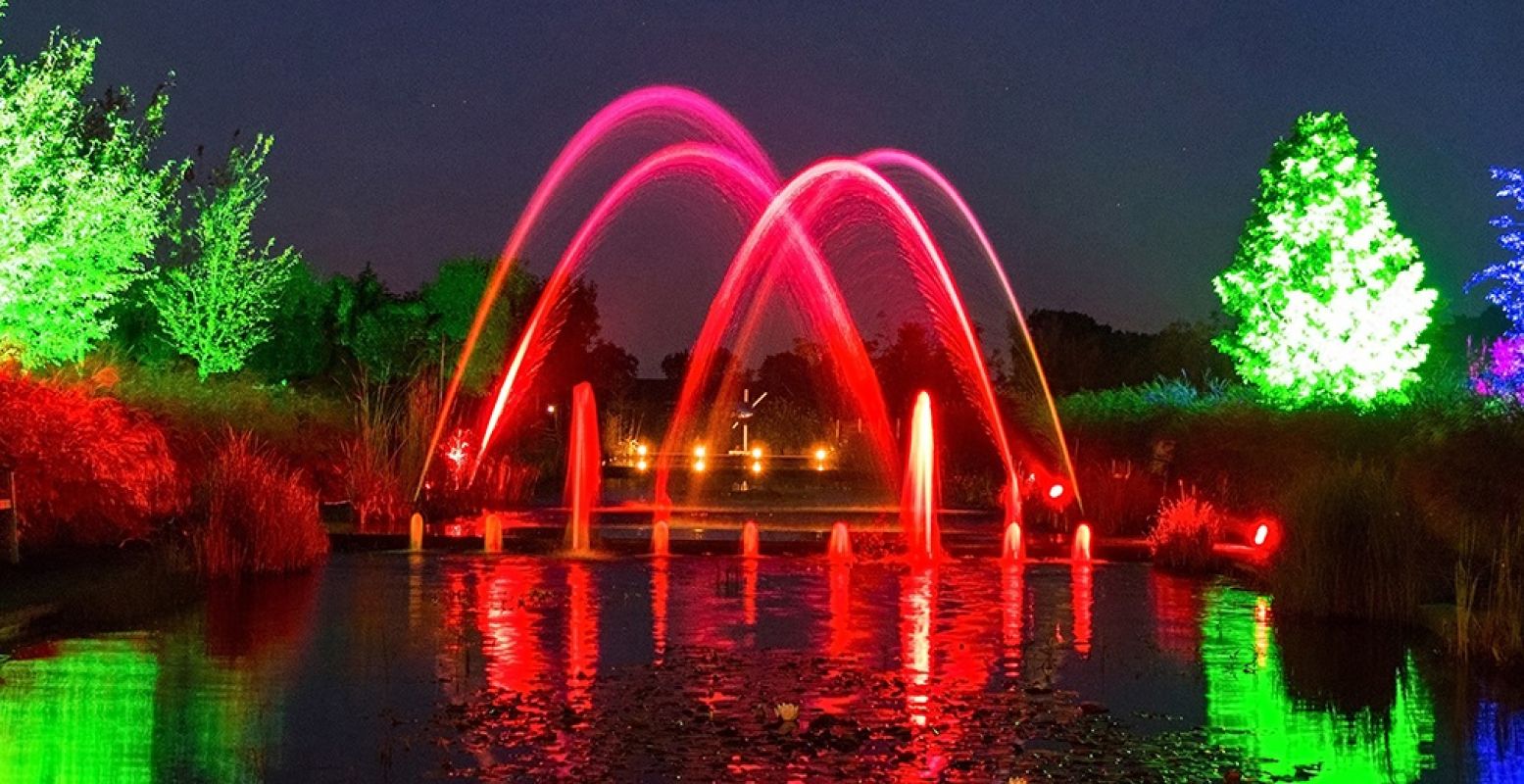 Tijdens het lichtfeest Mystery Gardens in Lights zijn de tuinen van Appeltern prachtig verlicht. Foto: Bart van Ooijen