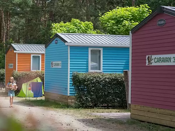 Foto: De Lilse Bergen. Foto: De Lilse Bergen.