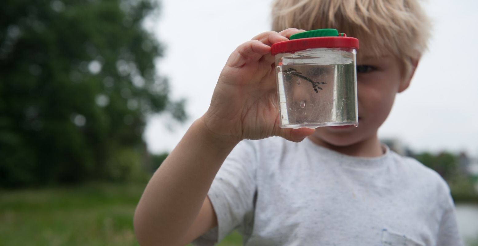 Doe waterproefjes en speur waterdieren op bij een sloot in de buurt. Foto: IVN Natuureducatie.