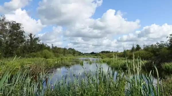 Ontdek de kop van de Deurnsche Peel Kanaal in de Deurnsche peel | Foto geüpload door gebruiker Staatsbosbeheer.