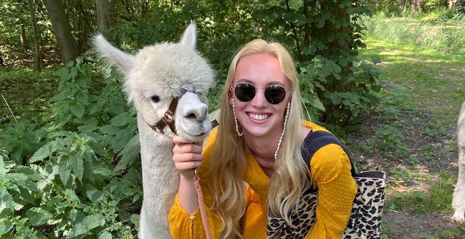 Alpaca's zijn enorm fluffy en hun wol is hartstikke kostbaar. Foto: Wendy Groote.