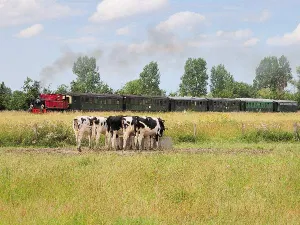 Foto: Stoomtrein Goes-Borsele.