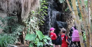 Oog in oog met duizenden exotische vogels bij Avifauna Stap in de tropische jungle van de Tropenhal. Foto: DagjeWeg.NL