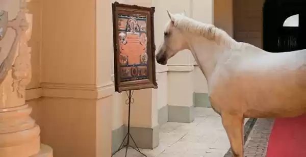 Ontdek hoe een manege een museum werd Natuurlijk spelen paarden de hoofdrol in dit nieuwe museum. Foto: Levend Paardenmuseum