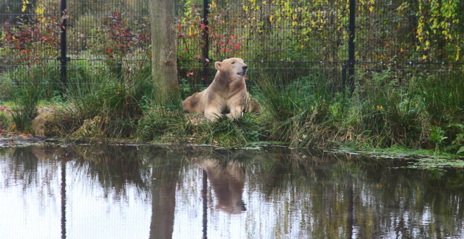 De dierentuinen wachten tot ze weer open mogen gaan. Foto: DagjeWeg.NL, Coby Boschma.