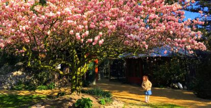 Beleef dit jaar een moment van bezinning tijdens de seizoensopening van Taman Indonesia. Foto: Taman Indonesia