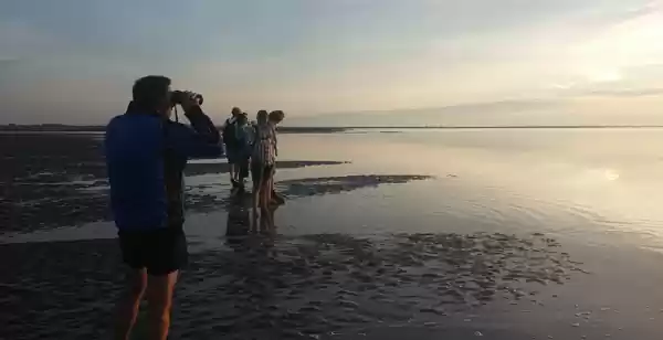 Wandelen op een drooggevallen Waddenzee Tijdens het wadlopen heb je een mooi uitzicht over de drooggevallen waddenzee. Foto: DagjeWeg.NL.