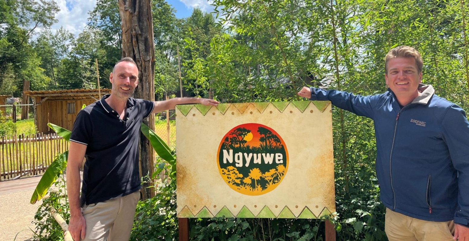 General manager Roel Huibers en zoölogisch manager Steven van den Heuvel bij de entree van Ngyuwe. Foto: ZooParc Overloon General manager Roel Huibers en zoölogisch manager Steven van den Heuvel bij de entree van Ngyuwe. Foto: ZooParc Overloon