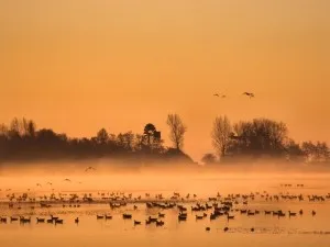 Nationaal Park De Alde Feanen Jan Durkspolder bij zonsopkomst. Foto: Anton Huitema