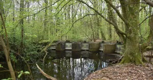 Ontdek de waterwerken in het Waterloopbos Ontdek de waterwerken in het WaterloopbosFoto geüpload door gebruiker Natuurmonumenten.