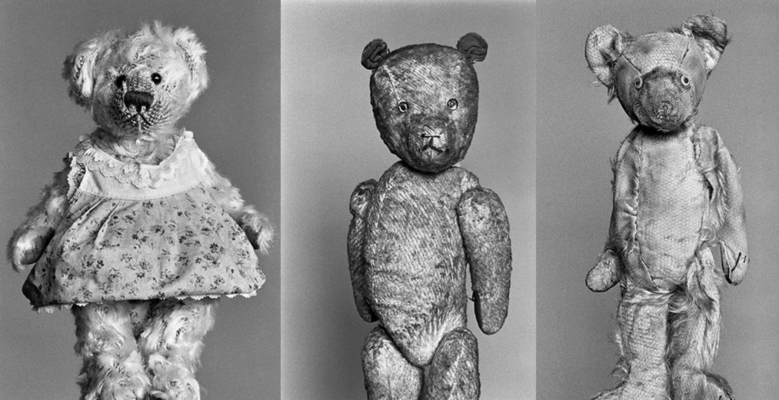 Awww, hoe ze je aankijken! Drie berenportretten van kunstenaar Helena van der Kraan. Foto's: Helena van der Kraan, 2014 - 2020