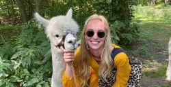 Knuffel, wandel en drink thee met alpaca's bij deze uitjes