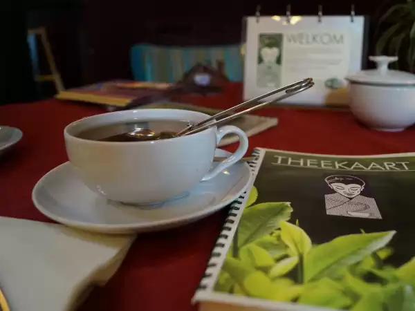 Neem een kopje thee in de theeschenkerij met theetuin. Foto: DagjeWeg.NL Neem een kopje thee in de theeschenkerij met theetuin. Foto: DagjeWeg.NL